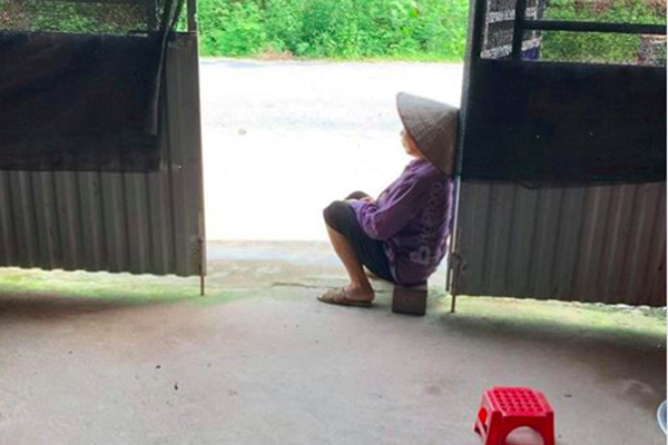 Thấy tiếng động chói tai, chủ nhà check camera thì phát hiện vụ tai nạn khiến cả ngõ xôn xao-2