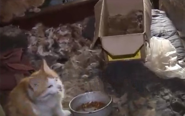 Con gái bị mẹ nhốt trong căn nhà bẩn thỉu 26 năm, nhân viên xã hội rùng mình khi gỡ cục tóc trên đầu người phụ nữ không tắm từ năm 2006-2