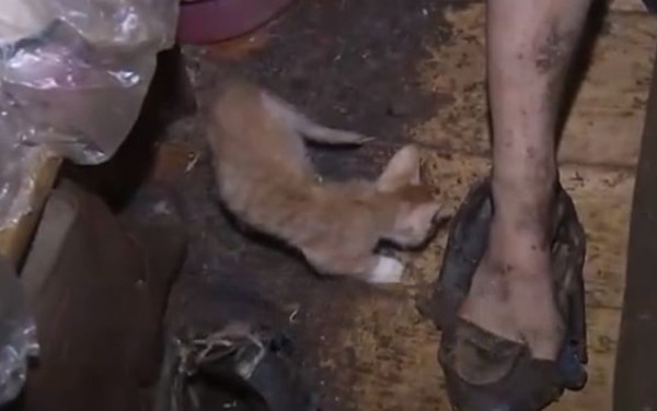 Con gái bị mẹ nhốt trong căn nhà bẩn thỉu 26 năm, nhân viên xã hội rùng mình khi gỡ cục tóc trên đầu người phụ nữ không tắm từ năm 2006-3