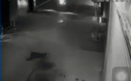 Thấy tiếng động chói tai, chủ nhà check camera thì phát hiện vụ tai nạn khiến cả ngõ xôn xao-1