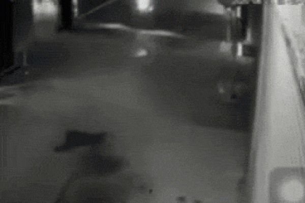 Thấy tiếng động chói tai, chủ nhà check camera thì phát hiện vụ tai nạn khiến cả ngõ xôn xao