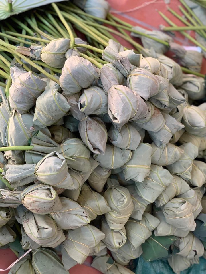 Mùa sen về, trà ướp bông sen tươi 40 ngàn/bông đắt khách, người làng sen Tây Hồ ngày bán gần 1000 bông cho khách mang đi biếu-8