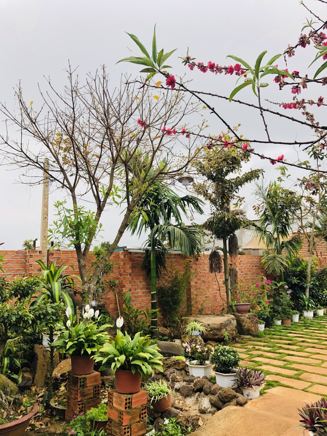 Nhà vườn 390 triệu đồng của con trai xây tặng mẹ dưỡng già ở Đắk Nông-4