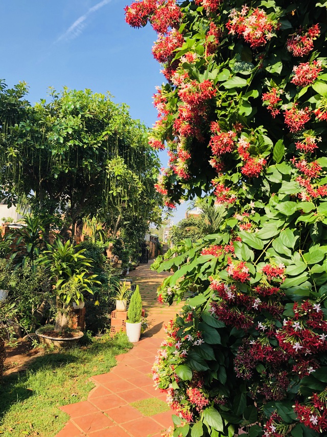 Nhà vườn 390 triệu đồng của con trai xây tặng mẹ dưỡng già ở Đắk Nông-5