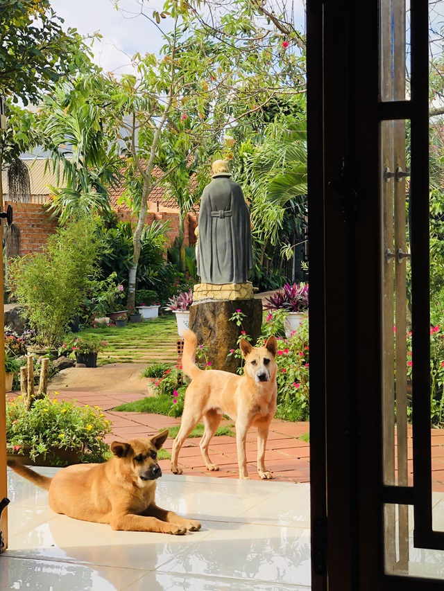 Nhà vườn 390 triệu đồng của con trai xây tặng mẹ dưỡng già ở Đắk Nông-9