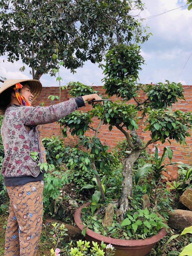 Nhà vườn 390 triệu đồng của con trai xây tặng mẹ dưỡng già ở Đắk Nông-10