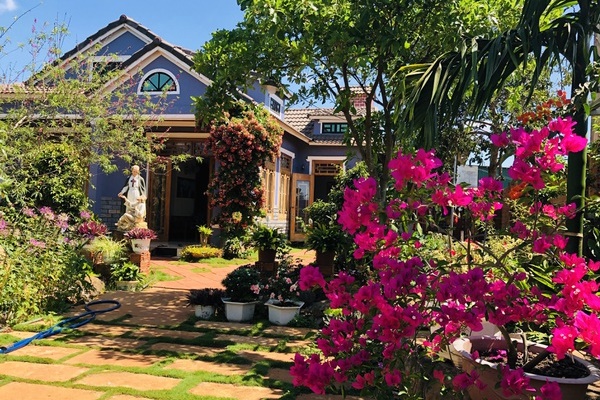 Nhà vườn không cần đến gạch vữa khiến hàng xóm tò mò ở Vũng Tàu-12