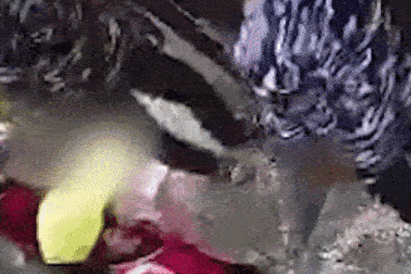 Gã thanh niên liên tục quấy rối hai đứa trẻ trong thang máy, hành động với bé gái thứ 2 càng gây phẫn nộ hơn-2