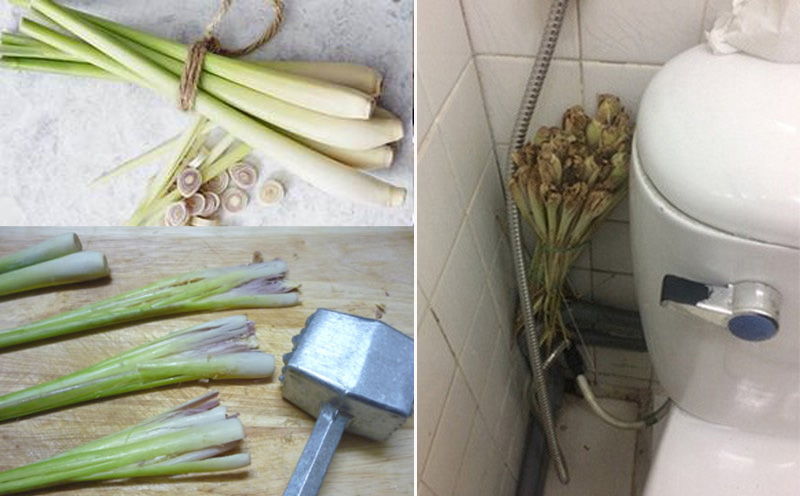 Tuyệt chiêu với rác từ nhà bếp” khiến muỗi khiếp vía, cách thứ 4 chắc chẳng ai nghĩ tới-5