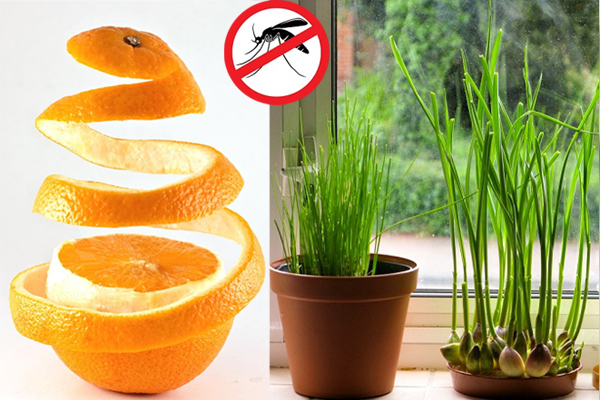 Mách chị em những cách rã đông thực phẩm nhanh chóng và hiệu quả-2