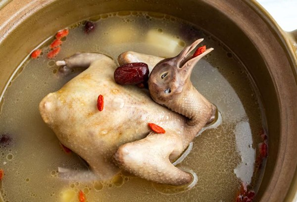 Đây là loài vật bổ gấp 9 lần thịt gà, được mệnh danh là thuốc bổ thượng phẩm giúp phụ nữ hồi xuân và miễn dịch nhiều loại bệnh-4