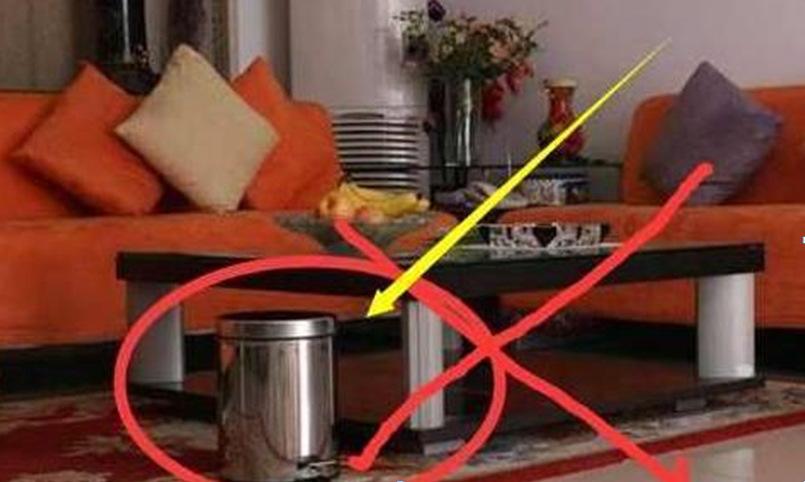 Những đồ vật đại kỵ người giàu không bao giờ để trong phòng khách, cái thứ 2 cực tiện lợi nhiều gia đình phạm phải-2