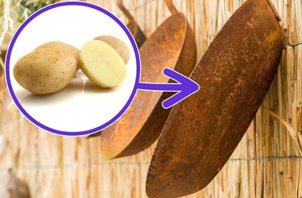 Thấy vợ đổ sữa tươi vào chảo cũ, chồng ngỡ ngàng thấy kết quả sau 5 phút-3