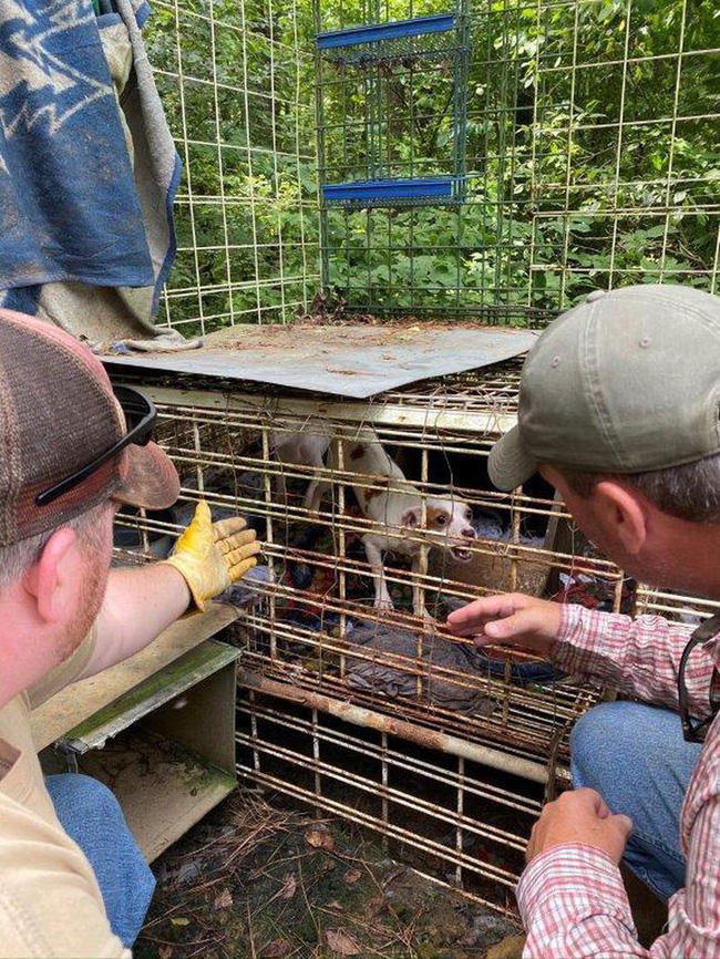 Sốc: Bé trai 18 tháng tuổi bị mẹ và người thân nhốt trong chuồng chó bẩn thỉu với hàng trăm con vật khác từ rắn, chuột đến thỏ, gà-3