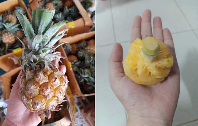 Thực hư dứa Thái mini siêu ngọt giảm giá sập sàn 10.000 đồng/kg-1