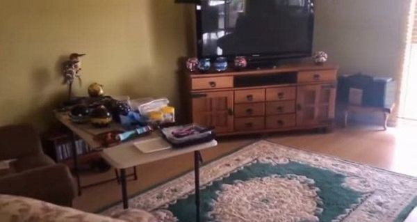 2 mẹ đơn thân sắm nhà bên trời Tây: Phi Nhung kiếm tiền như nước nhưng ở nơi giản dị-8