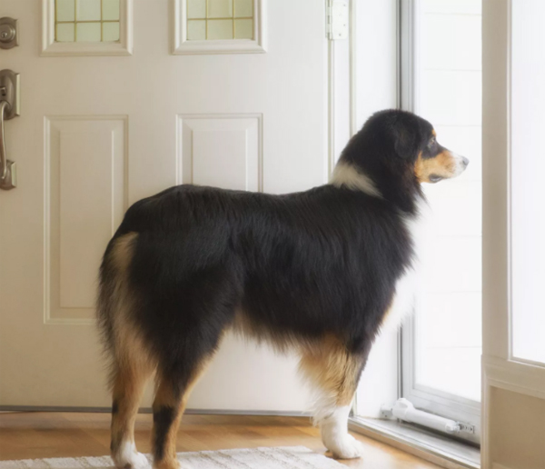 Chọn màu sắc cửa chính để không ảnh hưởng đến sức khỏe tài lộc, mang đến sự yên ấm cho gia chủ-5