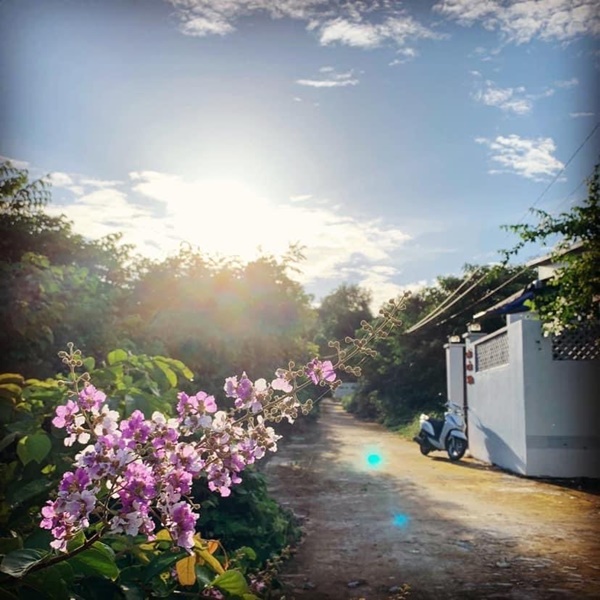 Muốn có nhà riêng, vợ chồng vay 350 triệu rồi tự xây nhà cấp 4 trên đảo Phú Quốc, cày cuốc trả hết nợ trong vòng 2 năm-2