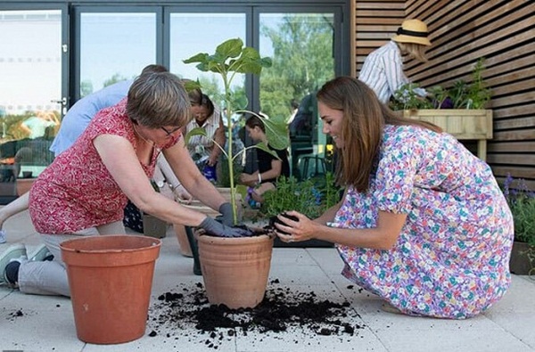 Chỉ cần nhìn cảnh Công nương Kate lăn xả bốc đất là có thể hiểu tại sao cô luôn được lòng dư luận còn cô em dâu Meghan lại bị ghét cay ghét đắng-3