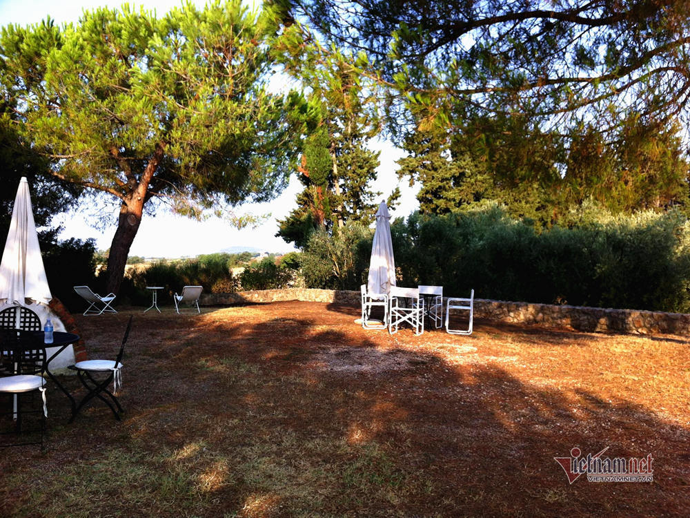 Villa 10.000 m2 của Hoa hậu Ngô Mỹ Uyên cùng chồng Tây-3