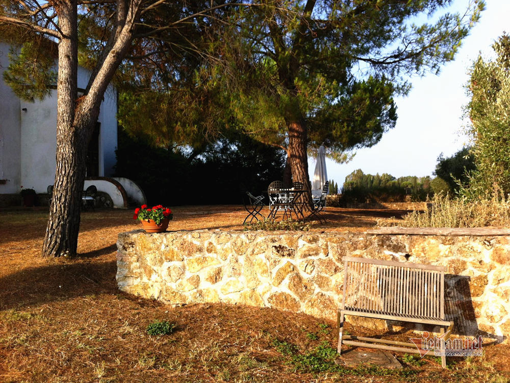 Villa 10.000 m2 của Hoa hậu Ngô Mỹ Uyên cùng chồng Tây-4