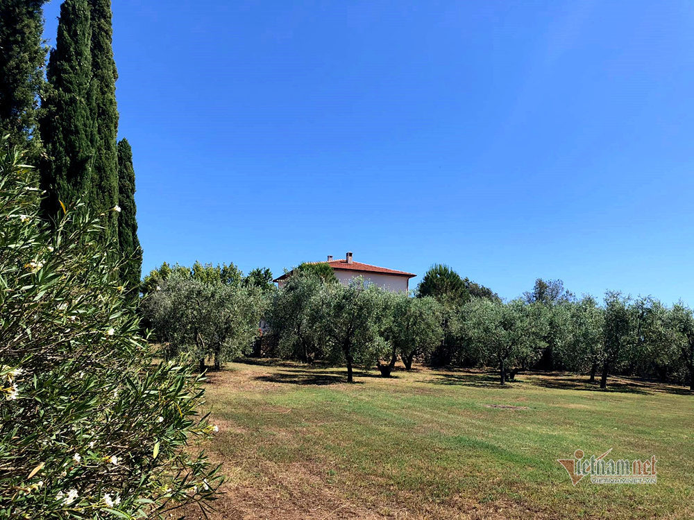 Villa 10.000 m2 của Hoa hậu Ngô Mỹ Uyên cùng chồng Tây-5