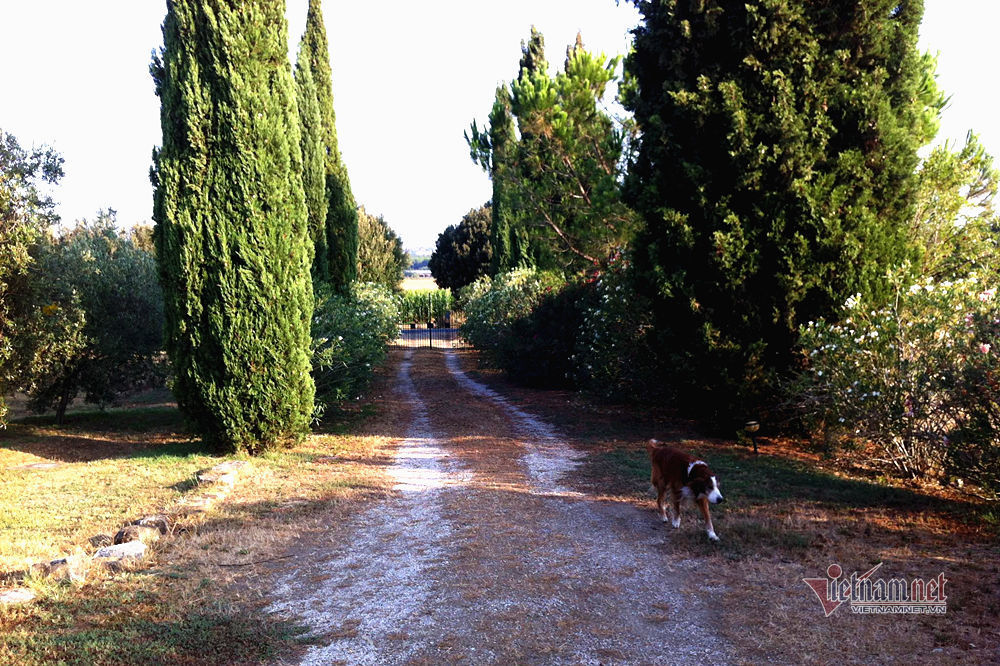 Villa 10.000 m2 của Hoa hậu Ngô Mỹ Uyên cùng chồng Tây-8