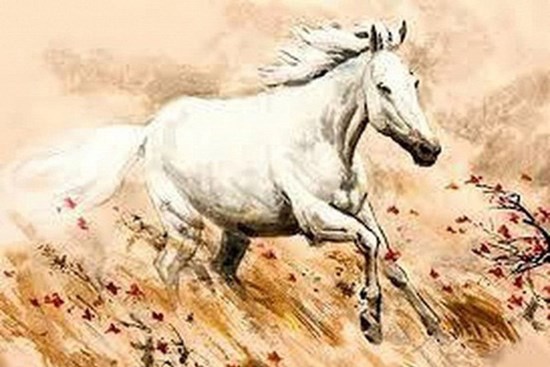 Top 3 con giáp may mắn nhất tuần, vạn sự hanh thông, quý nhân phù trợ, đạt được thành công khó ai sánh bằng