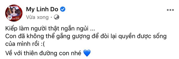 Đỗ Mỹ Linh, Lương Thuỳ Linh xót xa khi hay tin em bé bị bỏ rơi ở hố gas đã qua đời: Về với thiên đường con nhé!-2