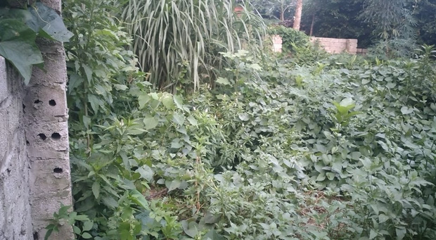 Người phát hiện cháu bé bị bỏ rơi dưới hố gas: Tôi đang xem lại ảnh cháu thì nhận được tin dữ, cứ nghĩ cháu sẽ vượt qua vậy mà…”-4