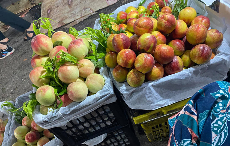 Dân buôn tiết lộ sự thật về đào Sa Pa bán tràn ngập chợ-3