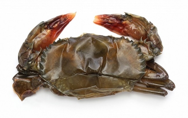 Loại cua siêu hiếm được nhà giàu săn lùng, giá cả triệu có gì đặc biệt-5