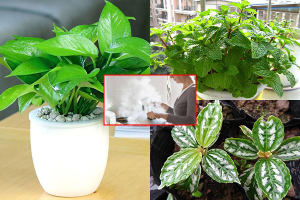 Tại sao trong nhà bếp của người Nhật không có cửa sổ mà vẫn sáng sủa? Chỉ cần để ý ba nơi này bạn có thể tiết kiệm được tiền điện mỗi tháng-7