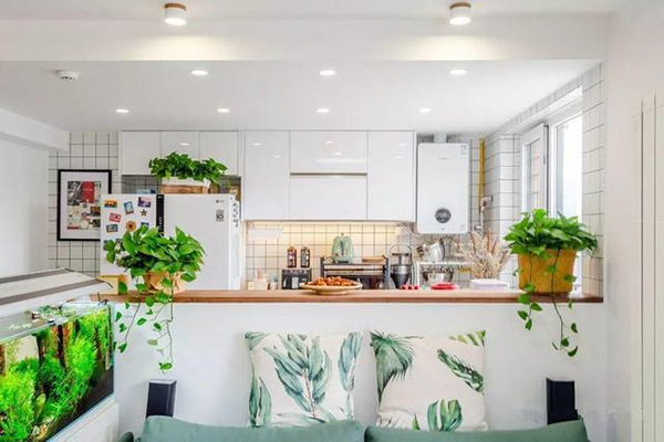 Nhà bếp nặng mùi dầu mỡ, trồng ngay những loại cây này vừa làm sạch không khí lại còn ngăn ngừa vi khuẩn-2