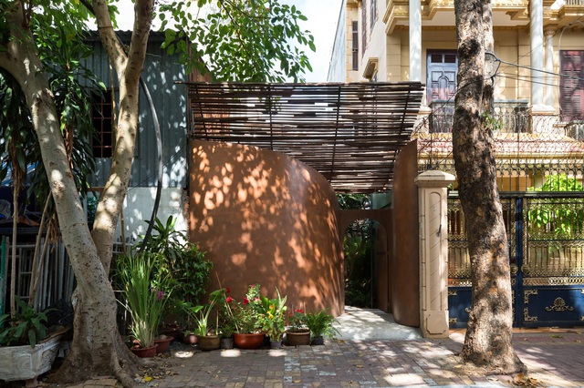 Nhà vườn không cần đến gạch vữa khiến hàng xóm tò mò ở Vũng Tàu-1