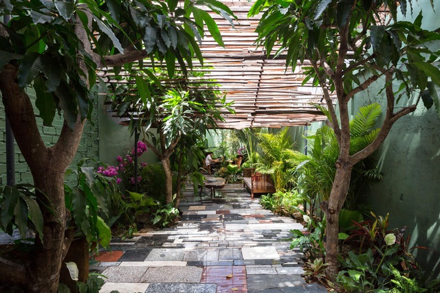 Nhà vườn không cần đến gạch vữa khiến hàng xóm tò mò ở Vũng Tàu-2