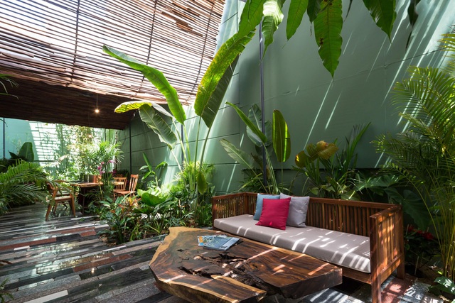 Nhà vườn không cần đến gạch vữa khiến hàng xóm tò mò ở Vũng Tàu-9