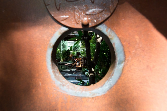 Nhà vườn không cần đến gạch vữa khiến hàng xóm tò mò ở Vũng Tàu-11