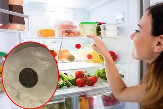 Đặt 1 đồng xu vào tủ lạnh trước khi vắng nhà vài ngày, tưởng kỳ cục nhưng khi biết lý do thì ai cũng phải học theo