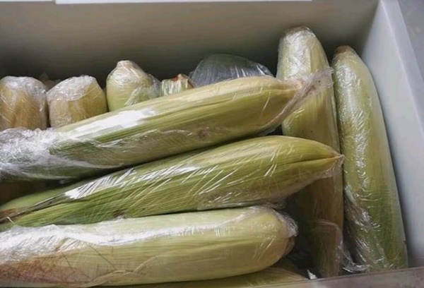 Ăn ngô 30 năm giờ mới biết cách bảo quản ngô như thế nào để cả năm không hỏng-4