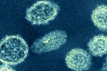 Bên trong phòng thí nghiệm lưu trữ nhiều virus chết người ở Vũ Hán-1