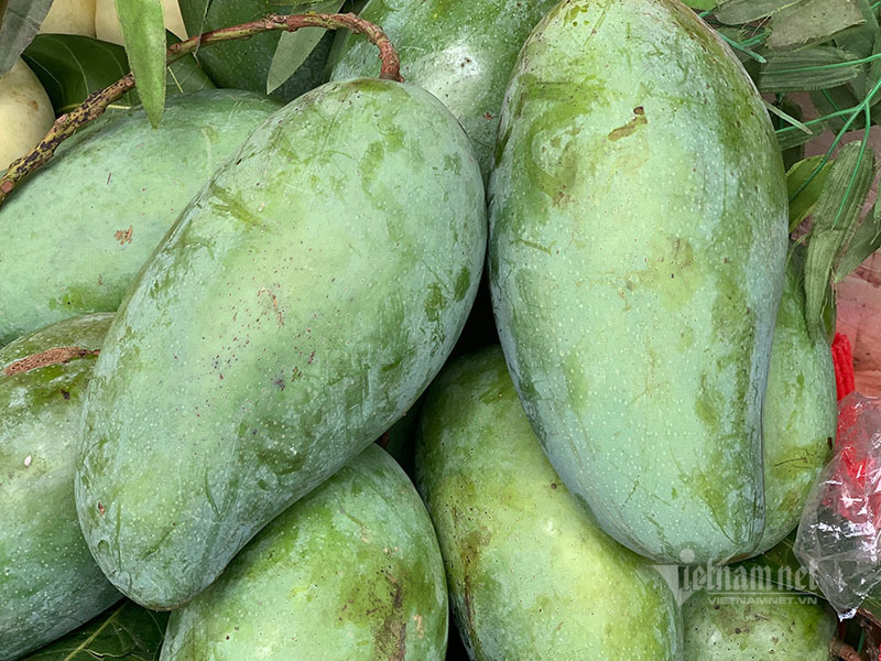 Xoài khổng lồ xuất hiện tràn khắp chợ Hà Nội-1