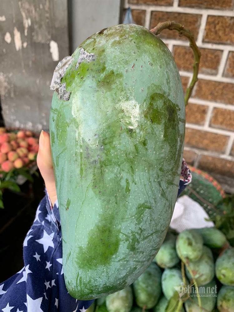 Xoài khổng lồ xuất hiện tràn khắp chợ Hà Nội-2