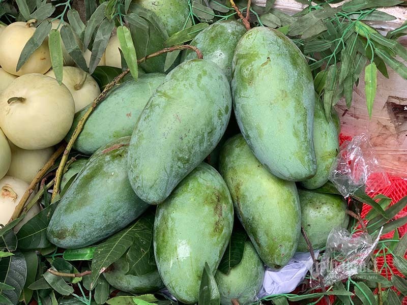 Xoài khổng lồ xuất hiện tràn khắp chợ Hà Nội-7