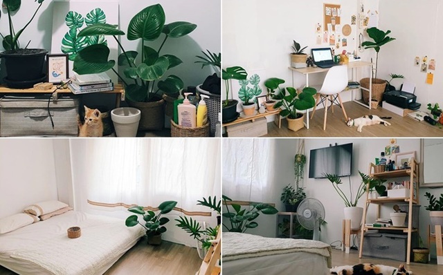 Thầy giáo gây sốt với màn biến hóa nhà đẹp không tưởng chỉ 6 triệu đồng-1