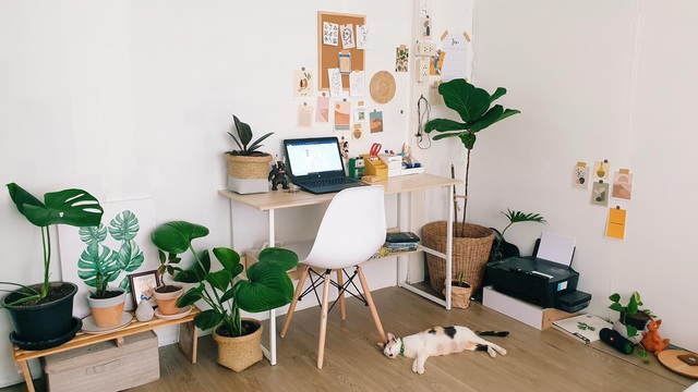 Thầy giáo gây sốt với màn biến hóa nhà đẹp không tưởng chỉ 6 triệu đồng-4