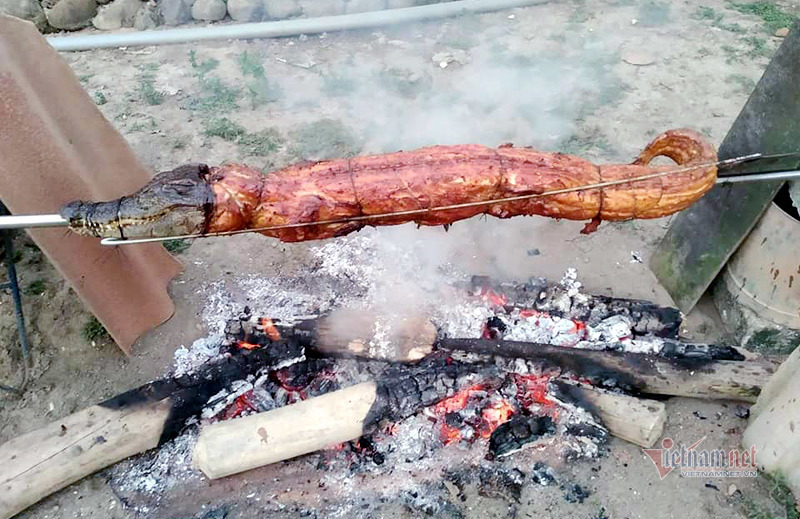 Cá sấu nguyên con rẻ như rau, nướng ăn liền ngày bán 2 tạ-6