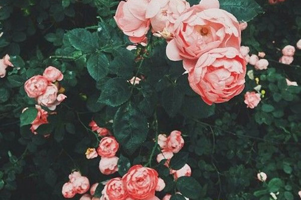 Bước sang tháng 7, 3 con giáp xui xẻo bủa vây, hao tài tốn của, tiền mất tật mang-4