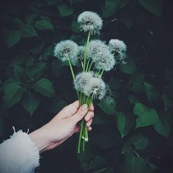 Tử vi tháng 7/2020 của 12 con giáp: Thìn vô cùng khởi sắc, Sửu cần cố gắng hơn-2