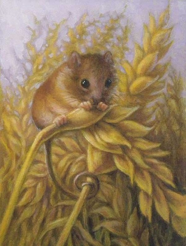 Bước sang tháng 7, 3 con giáp xui xẻo bủa vây, hao tài tốn của, tiền mất tật mang-1